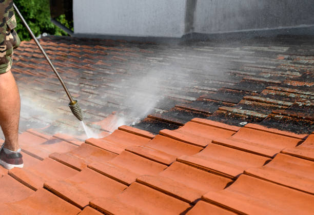 Best Pressure Washing Company Near Me  in Sunset, LA